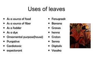 Uses of leaves
• As a source of food
• As a source of fiber
• As a fodder
• As a dye
• Ornamental purpose(house)
• Purgative
• Cardiotonic
• expectorant
• Fenugreek
• Banana
• Grasses
• henna
• Croton
• Senna
• Digitalis
• Vasaka
 