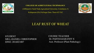 LEAF RUST OF WHEAT
COURSE TEACHER
Dr. PARTHASARATHY S
Asst. Professor (Plant Pathology)
STUDENT
MR.L.DANIEL CHRISTOPHER
IDNO. 2016021007
COLLEGE OF AGRICULTURAL TECHNOLOGY
(Affiliated to Tamil Nadu Agricultural University, Coimbatore-3)
Kullapuram (Po),ViaVaigai Dam, Theni-625 562
 