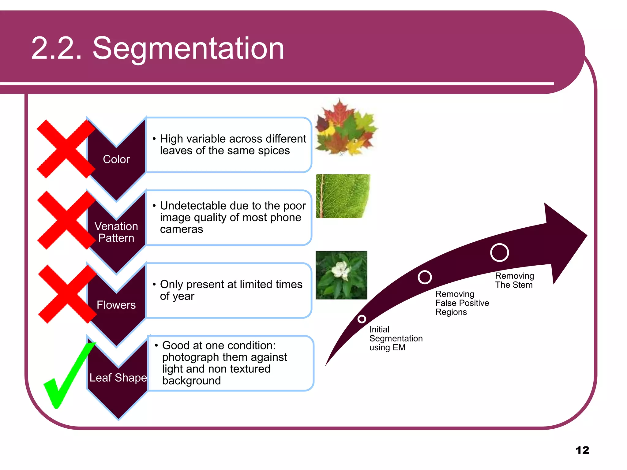 2.2. Segmentation
Color
• High variable across different
leaves of the same spices
Venation
Pattern
• Undetectable due to the poor
image quality of most phone
cameras
Flowers
• Only present at limited times
of year
Leaf Shape
• Good at one condition:
photograph them against
light and non textured
background
Initial
Segmentation
using EM
Removing
False Positive
Regions
Removing
The Stem
12
 