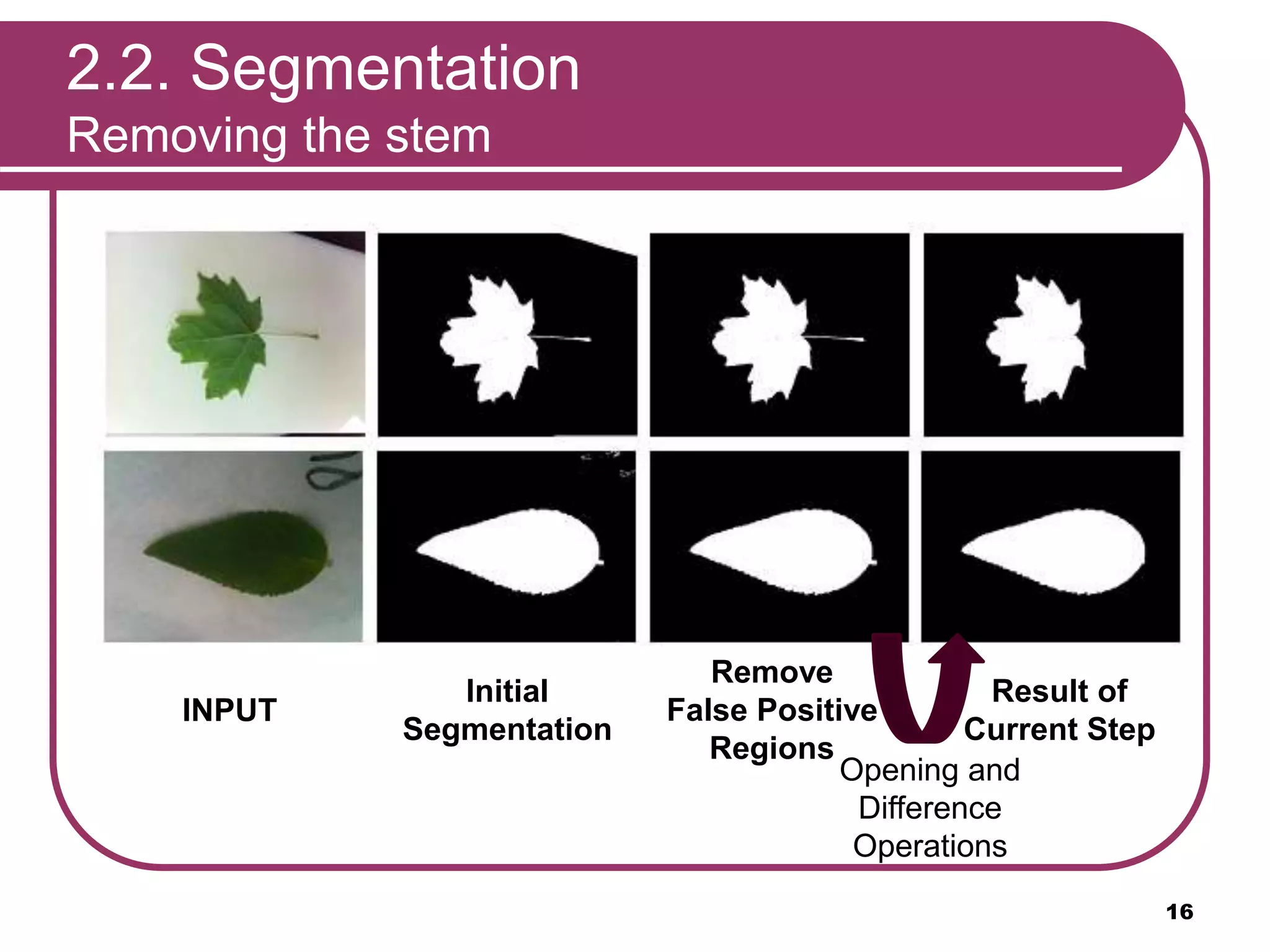 2.2. Segmentation
Removing the stem
INPUT
Initial
Segmentation
Result of
Current Step
Opening and
Difference
Operations
Remove
False Positive
Regions
16
 