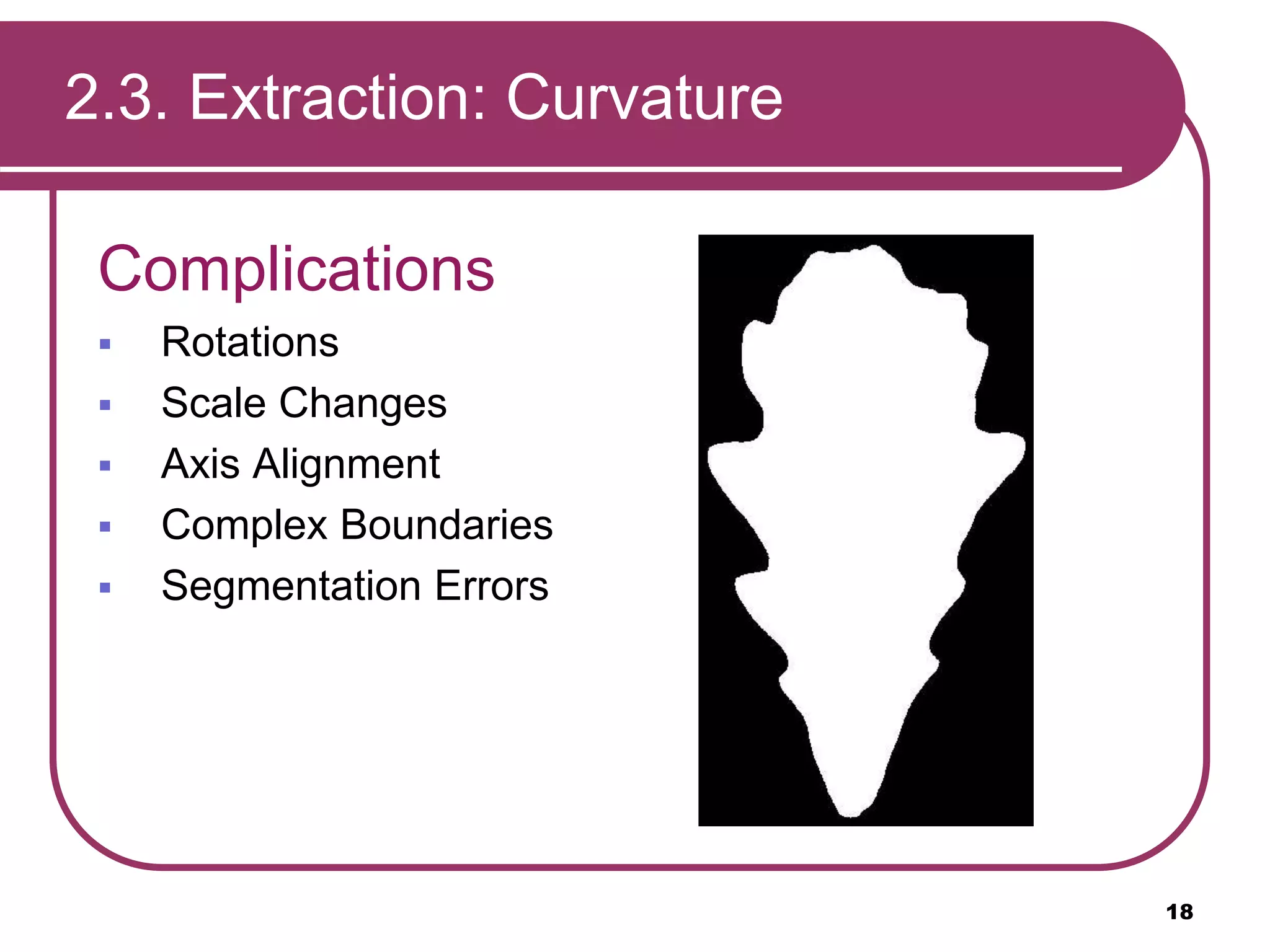 2.3. Extraction: Curvature
Complications
 Rotations
 Scale Changes
 Axis Alignment
 Complex Boundaries
 Segmentation Errors
18
 
