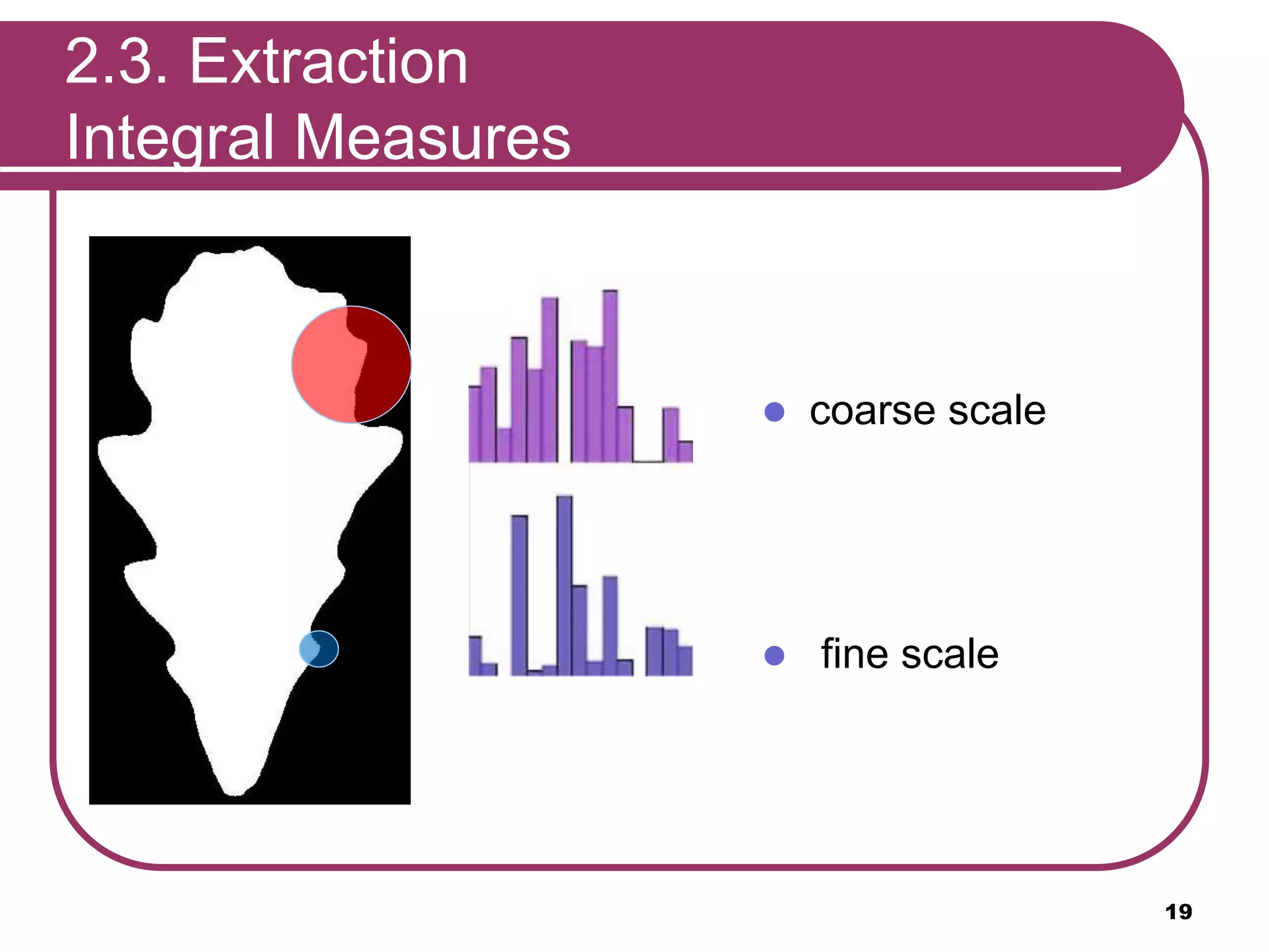  coarse scale
 fine scale
19
2.3. Extraction
Integral Measures
 