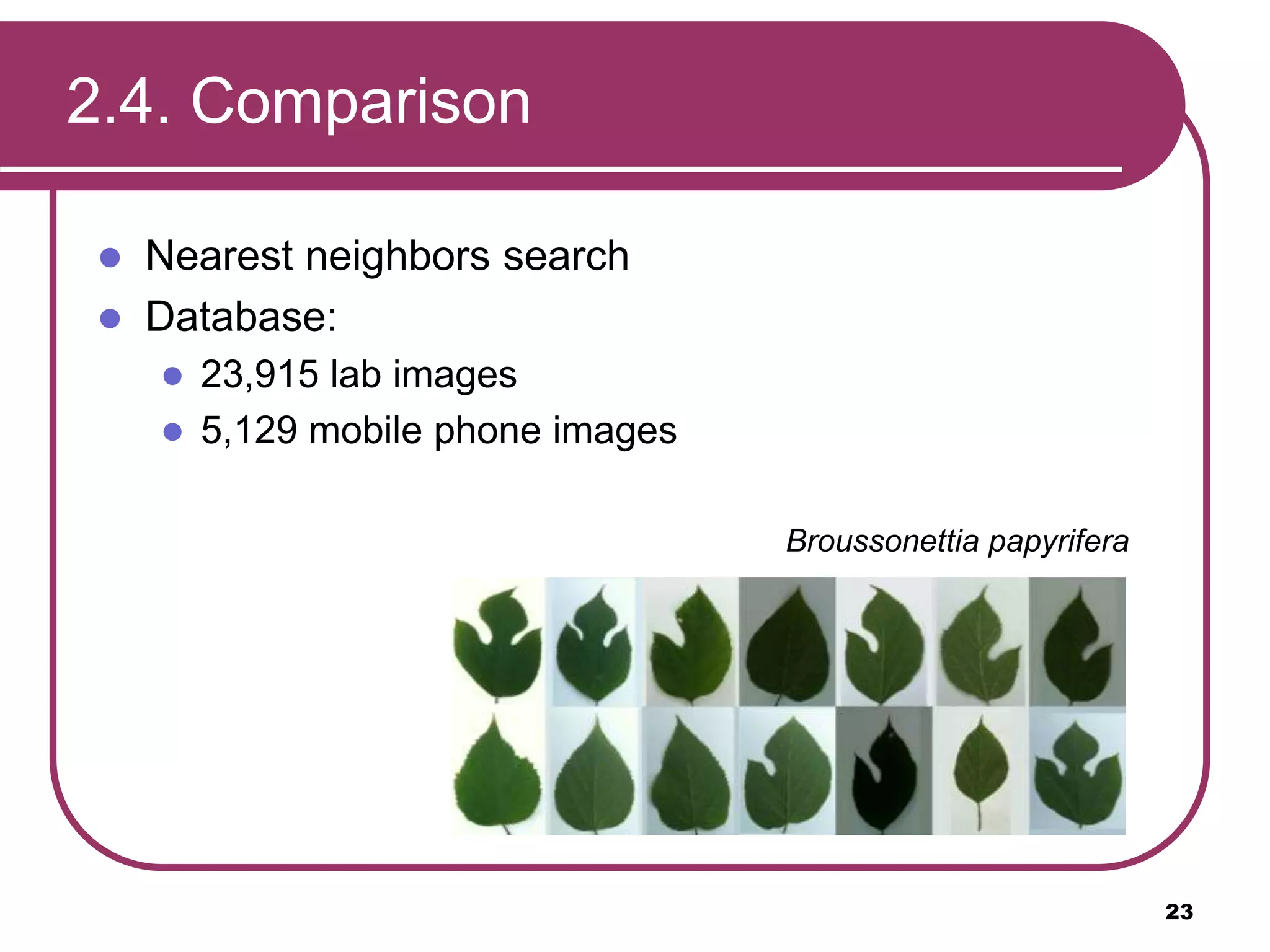 2.4. Comparison
 Nearest neighbors search
 Database:
 23,915 lab images
 5,129 mobile phone images
Broussonettia papyrifera
23
 