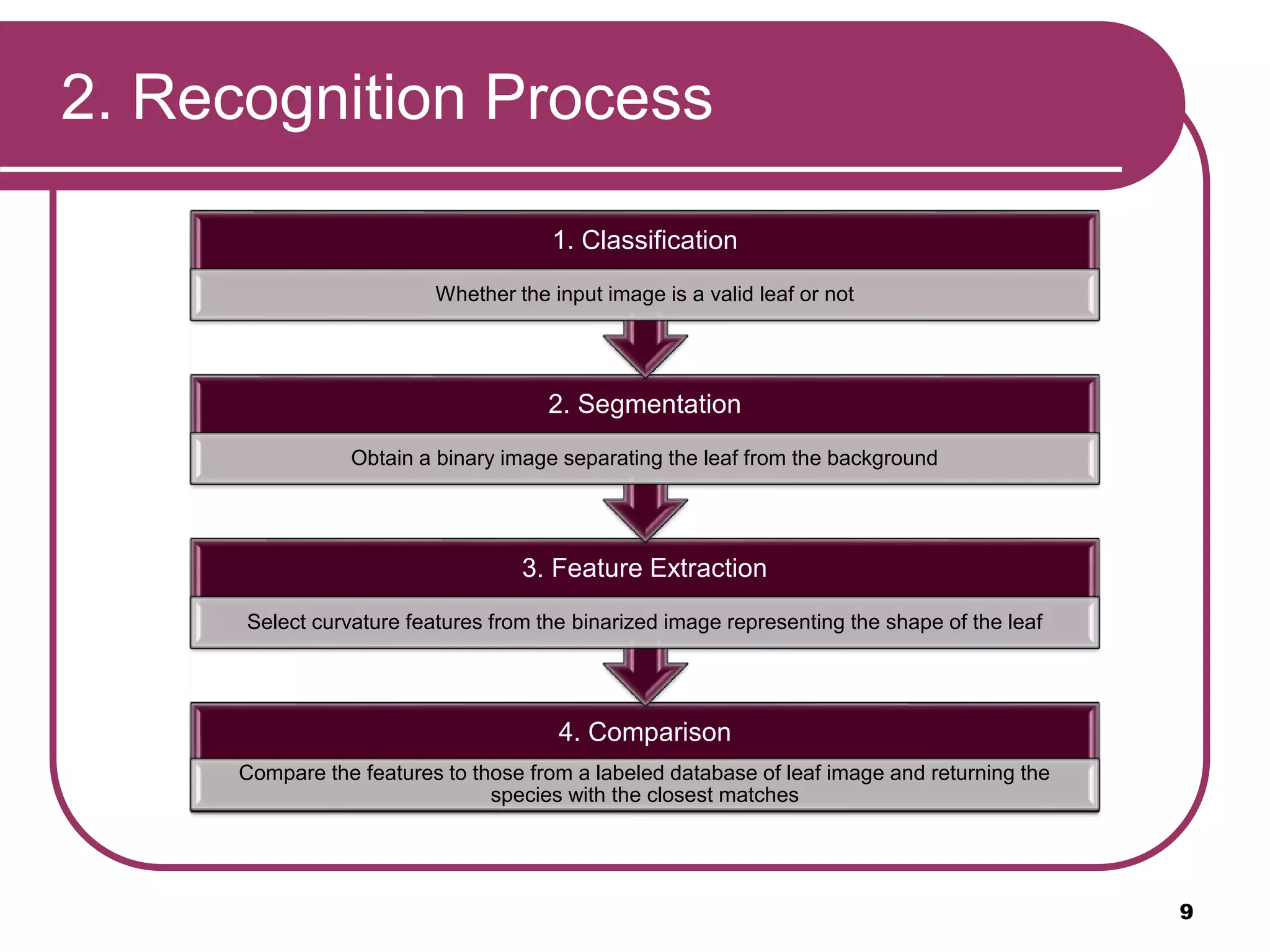 2. Recognition Process
4. Comparison
Compare the features to those from a labeled database of leaf image and returning the
species with the closest matches
3. Feature Extraction
Select curvature features from the binarized image representing the shape of the leaf
2. Segmentation
Obtain a binary image separating the leaf from the background
1. Classification
Whether the input image is a valid leaf or not
9
 