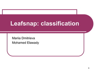 1
Leafsnap: classification
Mariia Dmitrieva
Mohamed Elawady
 