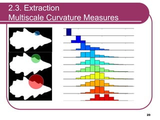 20
2.3. Extraction
Multiscale Curvature Measures
 