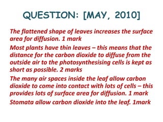 QUESTION: [MAY, 2010] 
The flattened shape of leaves increases the surface 
area for diffusion. 1 mark 
Most plants have t...