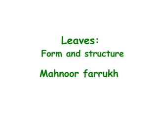 Leaves:
Form and structure
Mahnoor farrukh
 