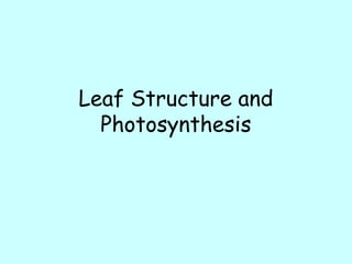 Leaf Structure and
Photosynthesis
 