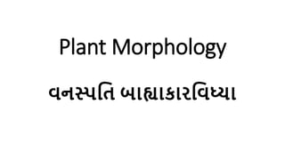 Plant Morphology
વનસ્પતિ બાહ્યાકારતવધ્યા
 