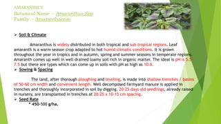 AMARANTHUS
Botanical Name :- Amaranthus Spp
Family :- Amaranthaceae
 Soil & Climate
Amaranthus is widely distributed in both tropical and sub tropical regions. Leaf
amaranth is a warm season crop adapted to hot humid climatic conditions. It is grown
throughout the year in tropics and in autumn, spring and summer seasons in temperate regions.
Amaranth comes up well in well drained loamy soil rich in organic matter. The ideal is pH is 5.5-
7.5 but there are types which can come up in soils with pH as high as 10.0.
 Sowing & Spacing
The land, after thorough ploughing and leveling, is made into shallow trenches / basins
of 50-60 cm width and convenient length. Well decomposed farmyard manure is applied in
trenches and thoroughly incorporated in soil by digging. 20-25 days old seedlings, already raised
in nursery, are transplanted in trenches at 20-25 x 10-15 cm spacing.
 Seed Rate
* 450-500 g/ha.
 