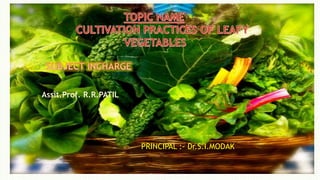 
Assit.Prof. R.R.PATIL
PRINCIPAL :- Dr.S.I.MODAK
 