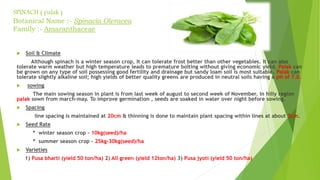 SPINACH ( palak )
Botanical Name :- Spinacia Oleracea
Family :- Amaranthaceae
 Soil & Climate
Although spinach is a winter season crop, It can tolerate frost better than other vegetables. It can also
tolerate warm weather but high temperature leads to premature bolting without giving economic yield. Palak can
be grown on any type of soil possessing good fertility and drainage but sandy loam soil is most suitable. Palak can
tolerate slightly alkaline soil; high yields of better quality greens are produced in neutral soils having a pH of 7.0.
 sowing
The main sowing season in plant is from last week of august to second week of November. In hilly region
palak sown from march-may. To improve germination , seeds are soaked in water over night before sowing.
 Spacing
line spacing is maintained at 20cm & thinning is done to maintain plant spacing within lines at about 5cm.
 Seed Rate
* winter season crop – 10kg(seed)/ha
* summer season crop – 25kg-30kg(seed)/ha
 Varieties
1) Pusa bharti (yield 50 ton/ha) 2) All green (yield 12ton/ha) 3) Pusa jyoti (yield 50 ton/ha)
 