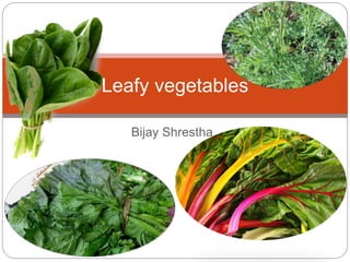 Bijay Shrestha
Leafy vegetables
 