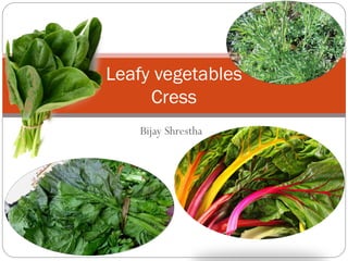 Bijay Shrestha
Leafy vegetables
Cress
 