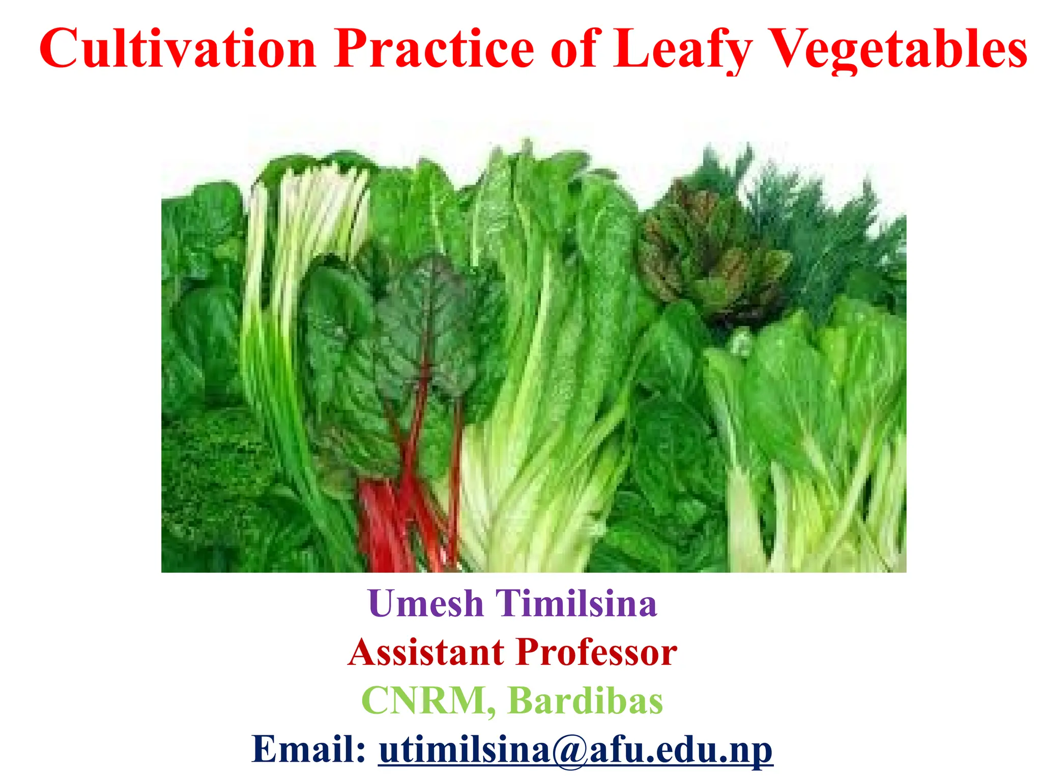 Cultivation Practice of Leafy vegetables final.pptx