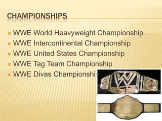 CHAMPIONSHIPS
 WWE World Heavyweight Championship
 WWE Intercontinental Championship
 WWE United States Championship
 WWE Tag Team Championship
 WWE Divas Championship
 