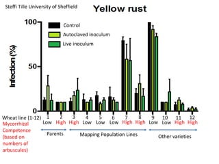 Low Low Low LowHigh High High High High HighLow Low
Control
Autoclaved inoculum
Live inoculum
Mycorrhizal
Competence
(based on
numbers of
arbuscules)
Parents Mapping Population Lines Other varieties
1 2 3 4 5 6 7 8 9 10 11 12
Steffi Tille University of Sheffield
Wheat line (1-12)
 