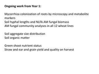 Ongoing work from Year 1:
Mycorrhiza colonization of roots by microscopy and metabolite
markers
Soil hyphal lengths and NLFA AM fungal biomass
AM fungal community analyses in all 12 wheat lines
Soil aggregate size distribution
Soil organic matter
Green shoot nutrient status
Straw and ear and grain yield and quality on harvest
 