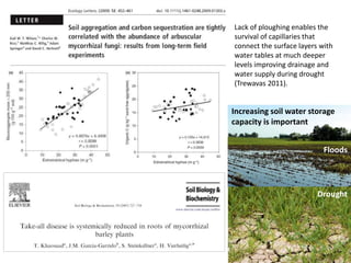 Floods
Drought
Increasing soil water storage
capacity is important
Lack of ploughing enables the
survival of capillaries that
connect the surface layers with
water tables at much deeper
levels improving drainage and
water supply during drought
(Trewavas 2011).
 