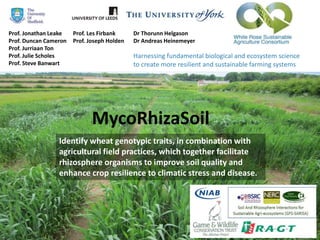 MycoRhizaSoil
Identify wheat genotypic traits, in combination with
agricultural field practices, which together facilitate
rhizosphere organisms to improve soil quality and
enhance crop resilience to climatic stress and disease.
Prof. Jonathan Leake
Prof. Duncan Cameron
Prof. Jurriaan Ton
Prof. Julie Scholes
Prof. Steve Banwart
Prof. Les Firbank
Prof. Joseph Holden
Dr Thorunn Helgason
Dr Andreas Heinemeyer
Dr Richard Summers
Peter Burgis
Oliver Pilbeam
MycoRhizaSoil
Dr Alastair Leake
Dr Nicola Hinton
Harnessing fundamental biological and ecosystem science
to create more resilient and sustainable farming systems
Identify wheat genotypic traits, in combination with
agricultural field practices, which together facilitate
rhizosphere organisms to improve soil quality and
enhance crop resilience to climatic stress and disease.
 