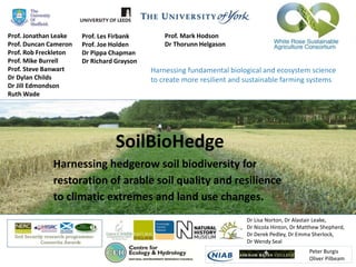 Prof. Jonathan Leake
Prof. Duncan Cameron
Prof. Rob Freckleton
Prof. Mike Burrell
Prof. Steve Banwart
Dr Dylan Childs
Dr Jill Edmondson
Ruth Wade
Prof. Les Firbank
Prof. Joe Holden
Dr Pippa Chapman
Dr Richard Grayson
Prof. Mark Hodson
Dr Thorunn Helgason
SoilBioHedge
Harnessing hedgerow soil biodiversity for
restoration of arable soil quality and resilience
to climatic extremes and land use changes.
Dr Lisa Norton, Dr Alastair Leake,
Dr Nicola Hinton, Dr Matthew Shepherd,
Dr Derek Pedley, Dr Emma Sherlock,
Dr Wendy Seal
Peter Burgis
Oliver Pilbeam
Harnessing fundamental biological and ecosystem science
to create more resilient and sustainable farming systems
 