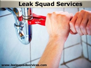 Leak Squad Services
www.leaksquadservices.com
 