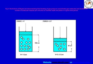 Website www.sisndt.com or www.ndtsis.com
Fig 4: Illustrations of Boyles law demonstrating that doubling of gas pressure concentrates gas molecules and doubles the
number of molecular impacts per unit area on chamber walls and piston in a given time period.
100 cm
V= 1 Cum
FORCE = F FORCE = 2 F
V= O. 5 Cum
50 cm
 