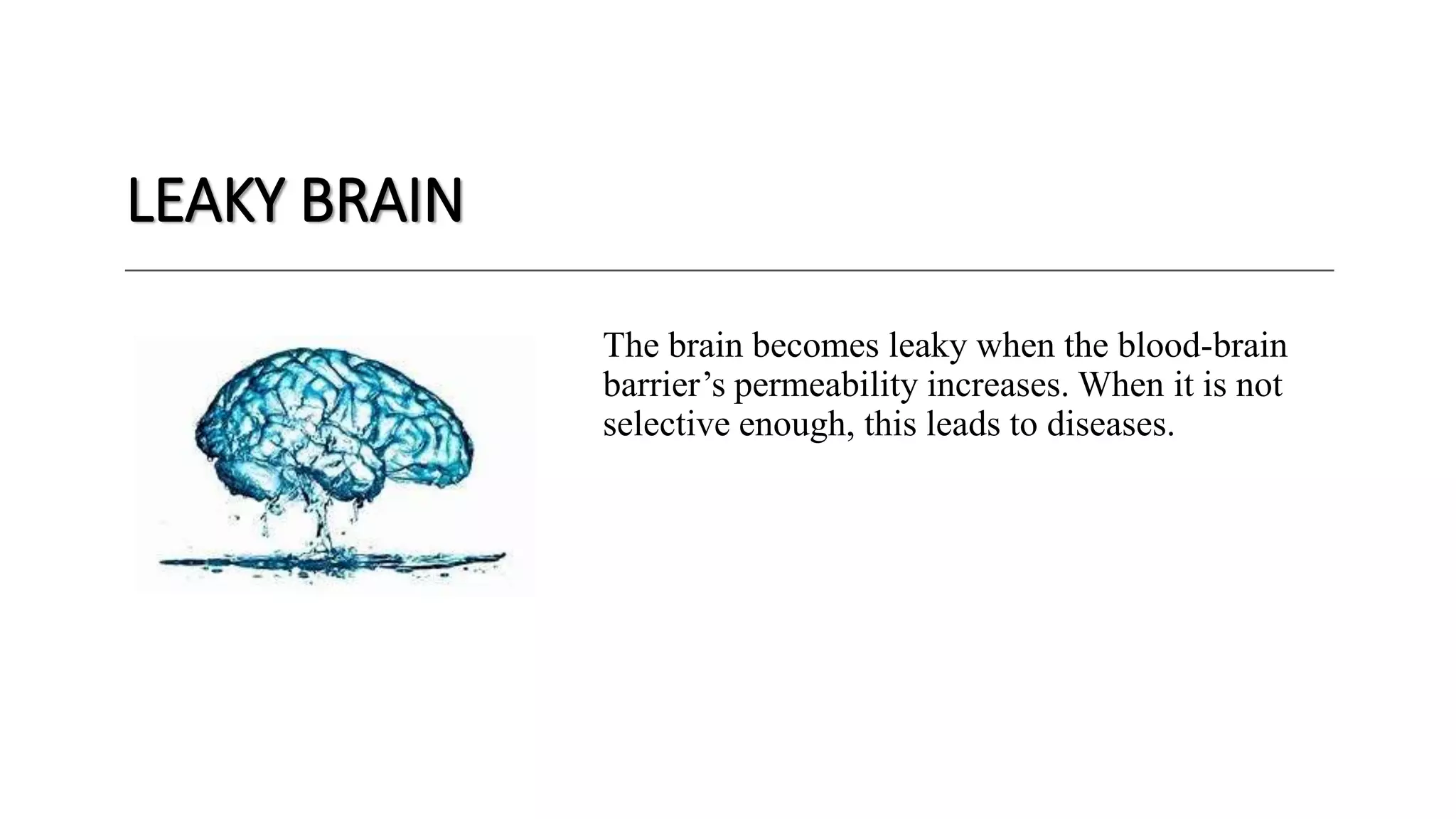 Leaky brain PPT