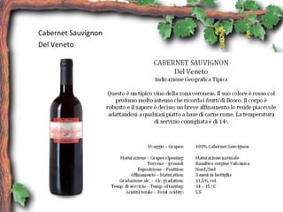Cabernet Sauvignon
Del Veneto
 