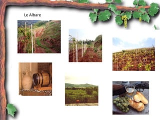 Le Albare
 