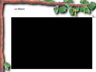 Le Albare
 