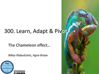 The Chameleon effect…
Nikos Palavitsinis, Agro-Know
300. Learn, Adapt & Pivot
 