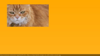 http://commons.wikimedia.org/wiki/File:Mr._Maji,_a_long-haired_orange_cat_with_white_muzzle.jpg 
 