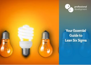 Your Essential
Guide to
Lean Six Sigma
 
