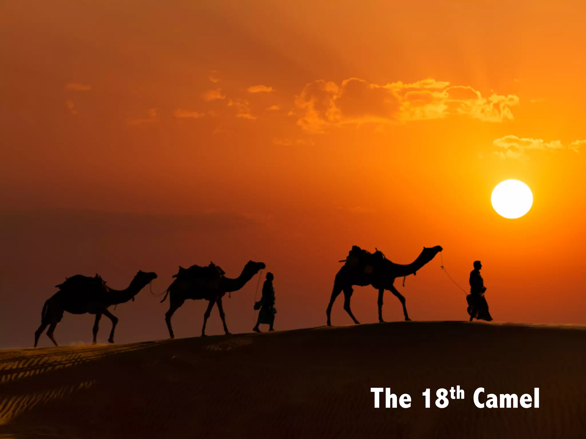 The 18th Camel
 