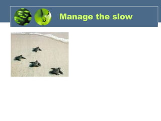 Manage the slow  