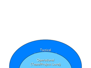 Tactical (Portfolio Level) Operational (Team/Project Level) 