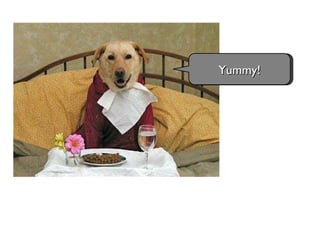 Yummy! 