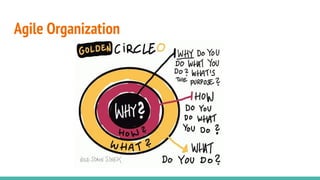 Agile Organization
 