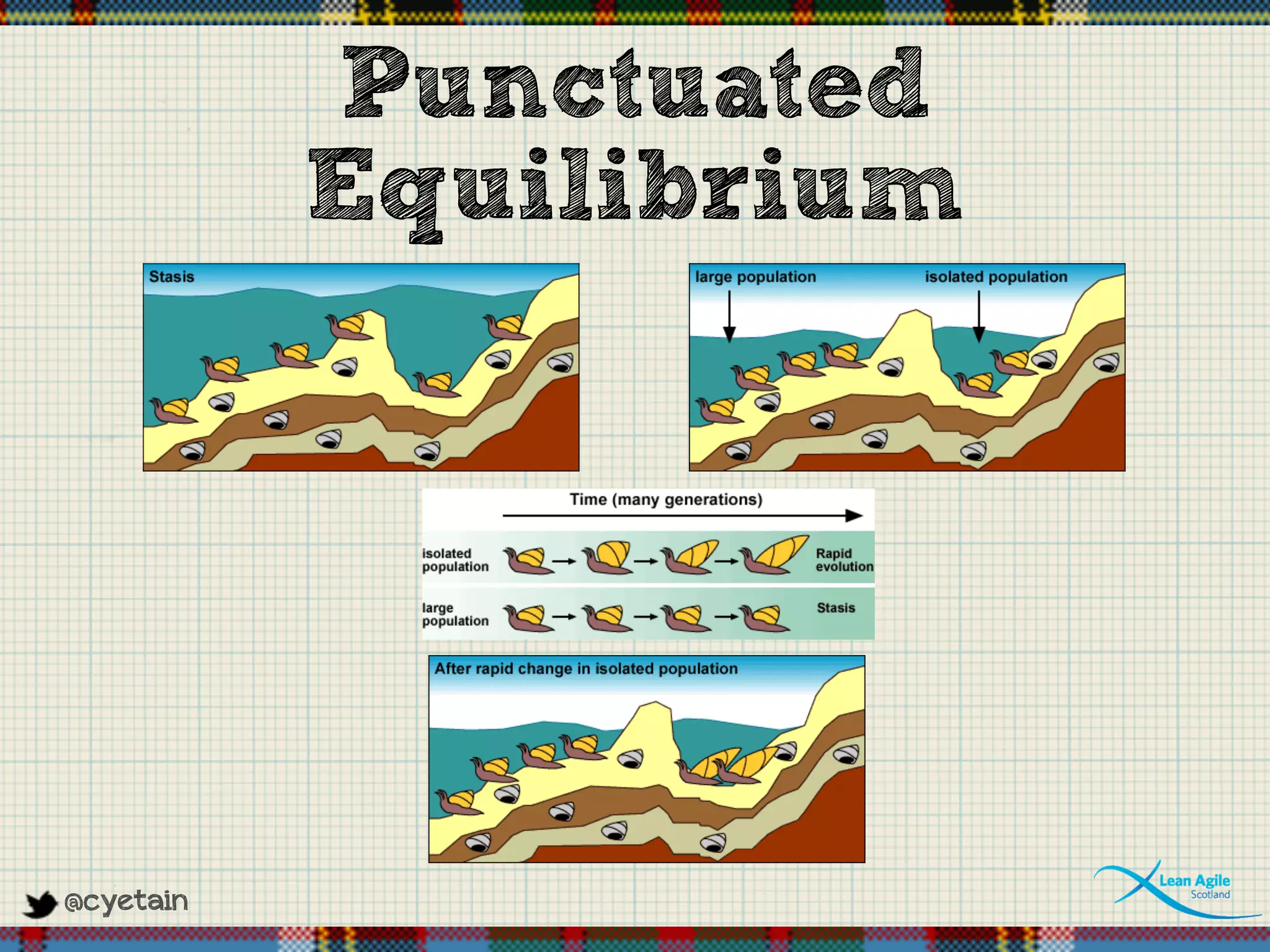@cyetain
Punctuated
Equilibrium
 