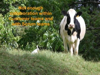 Not enough collaboration within Customer teams and with Scrum teams