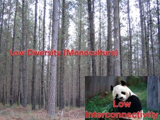 nef (the new economics foundation)
www.egs.mmu.ac.uk
 