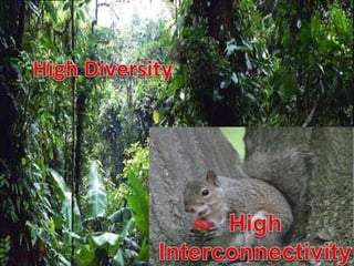 nef (the new economics foundation)
 