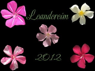 Leanderek2012