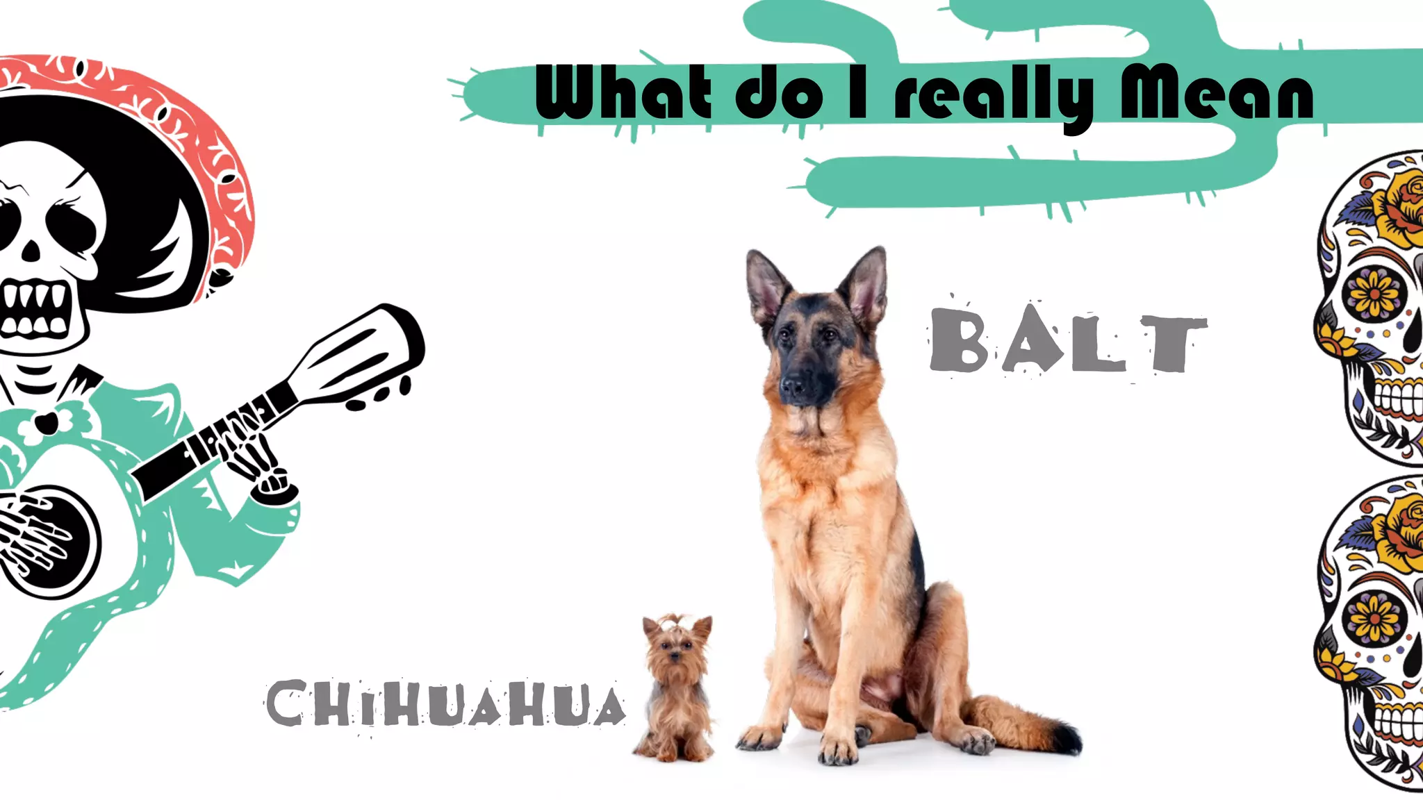 What do I really Mean
BALT
Chihuahua
 