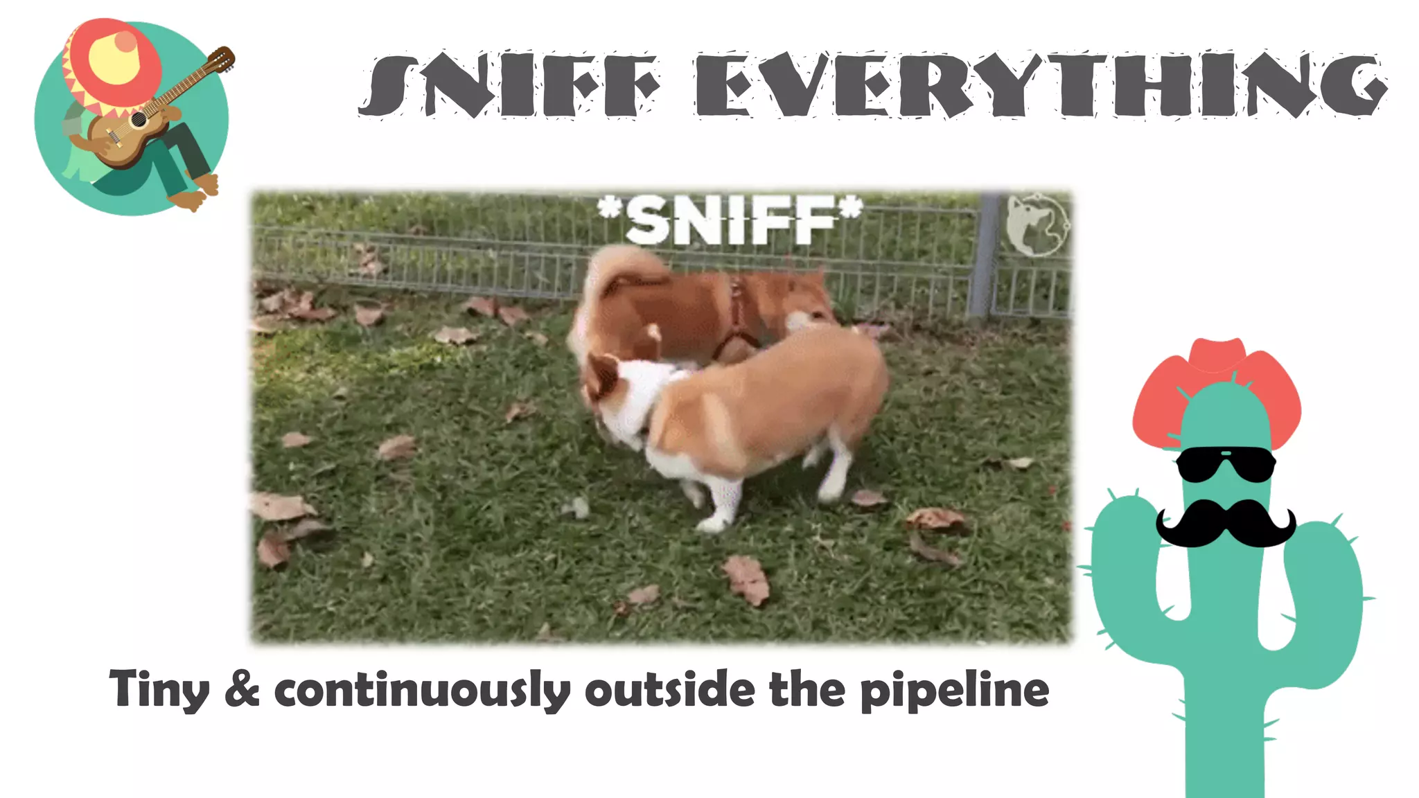 sniff everything
Tiny & continuously outside the pipeline
 