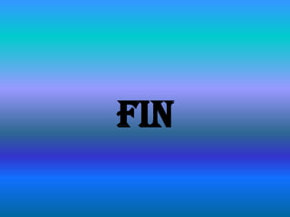 FIN
 