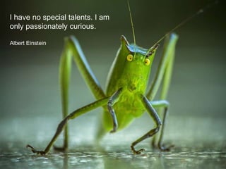 I have no special talents. I am
only passionately curious.
Albert Einstein
 