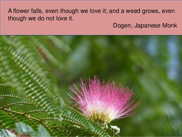 A Collection of Japanese Sayings